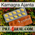 Kamagra Ajanta 42